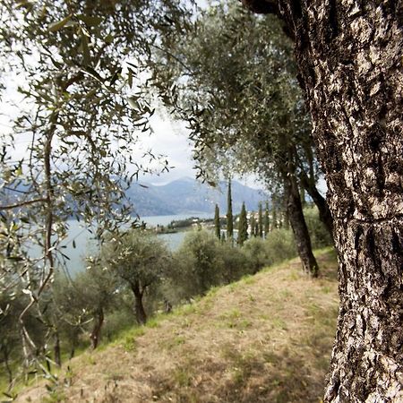 Residence Le Balze Malcesine Luaran gambar