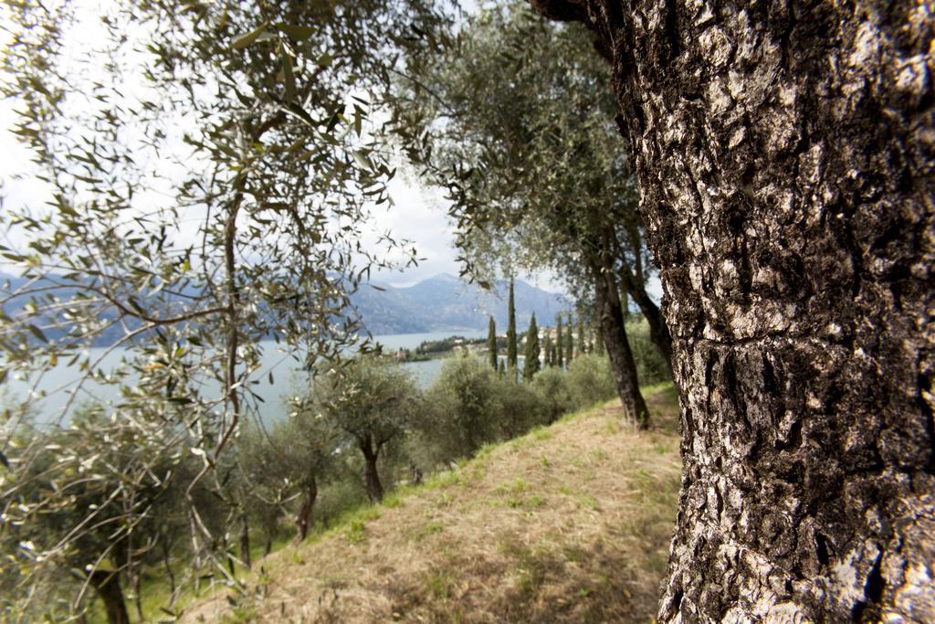 Residence Le Balze Malcesine Luaran gambar